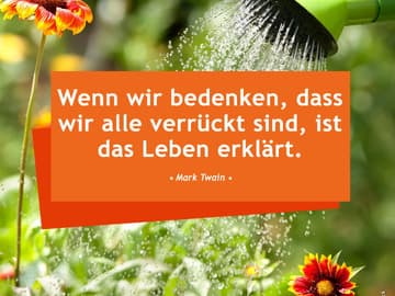 Wenn wir bedenken, dass wir alle verrückt sind, ist das Leben erklärt. - Mark Twain