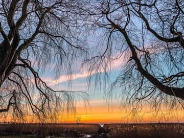 ahrenshoop-bodden-3