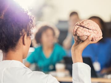 Frau hält Modell eines Gehirns in der Hand Frau hält Modell eines Gehirns in der Hand