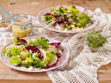 Radieschen-Kerbel-Salat Radieschen-Kerbel-Salat