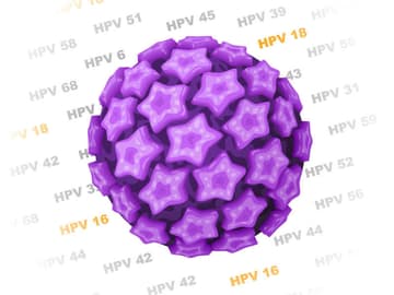 HPV-Erreger HPV-Erreger