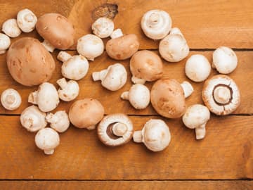 Champignons Champignons