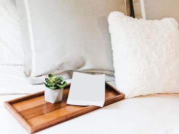 diese-pflanzen-eignen-sich-besonders-gut-für-das-schlafzimmer