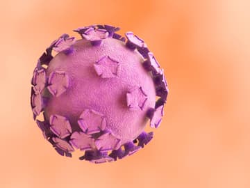 HPV_Erreger HPV Erreger