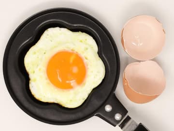 eier