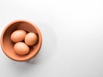 eier
