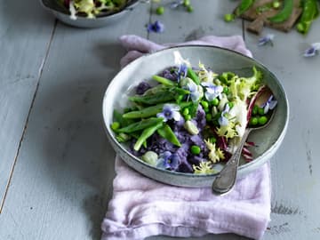 Lila Kartoffel Alles Uber Die Violette Gourmetkartoffel