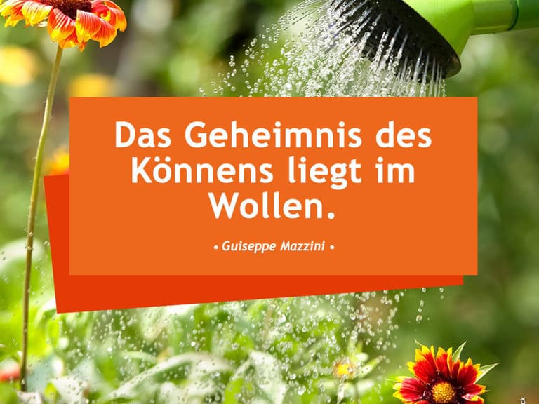 Die Schonsten Spruche Zum Nachdenken