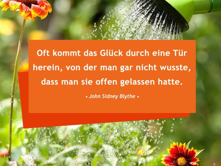 Die Schonsten Spruche Zum Nachdenken