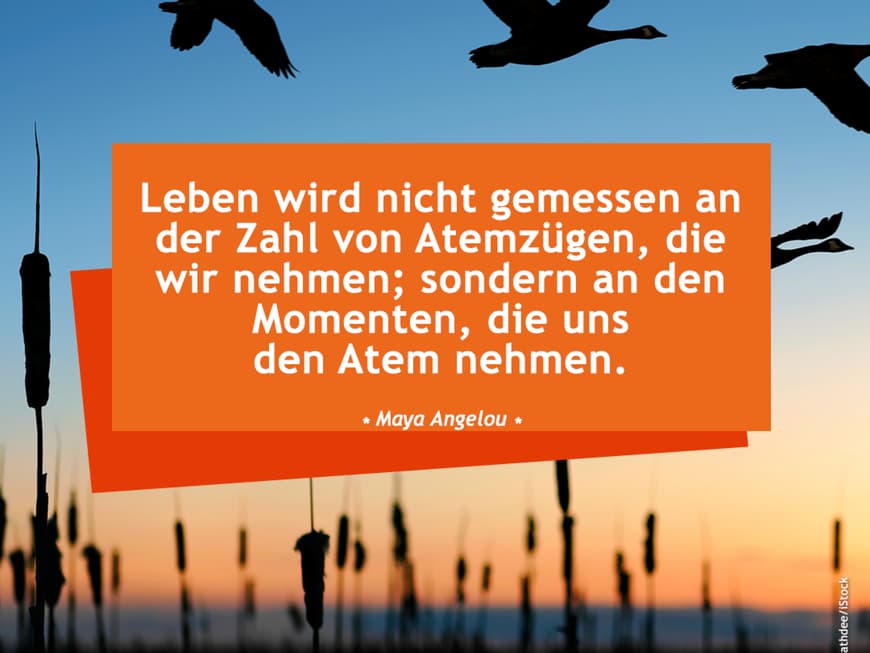 Die schönsten Sprüche zum Nachdenken