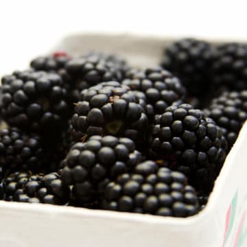 Brombeeren Brombeeren
