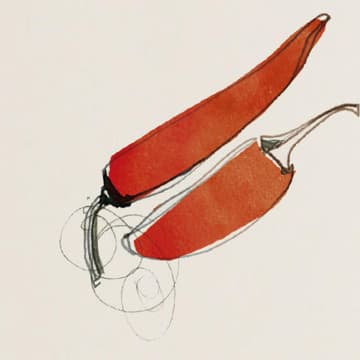 Chili Chili