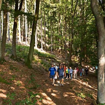 Wandern Wandern
