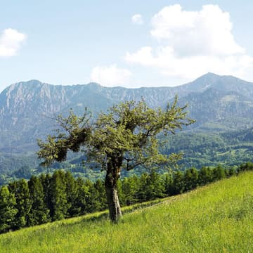 landschaft.jpg