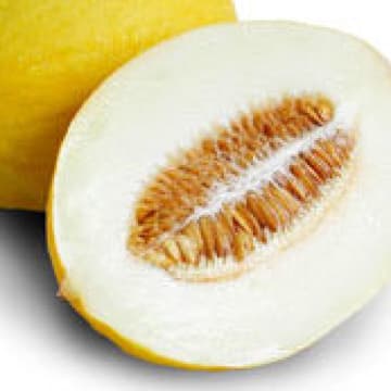 Honigmelone Honigmelone