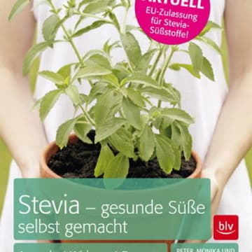 stevia-gesunde-suesse-selbst-gemacht.jpg