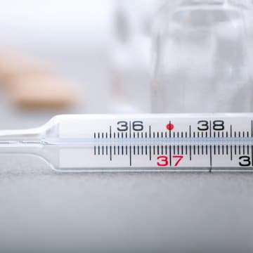Thermometer Thermometer
