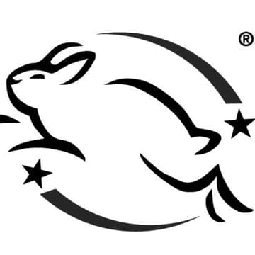 Hüpfender Hase Hüpfender Hase