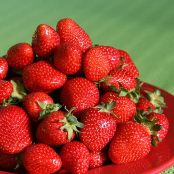 Erdbeeren Erdbeeren