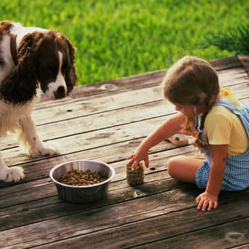 Mädchen sitzt auf dem Boden und füttert einen Hund Mädchen füttert Hund