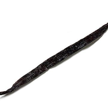 Vanille Vanille