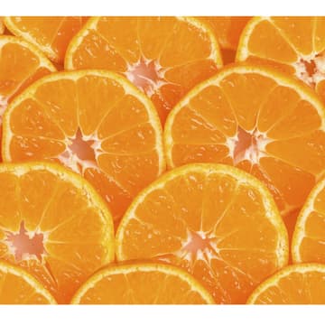 Orangenscheiben Orangenscheiben