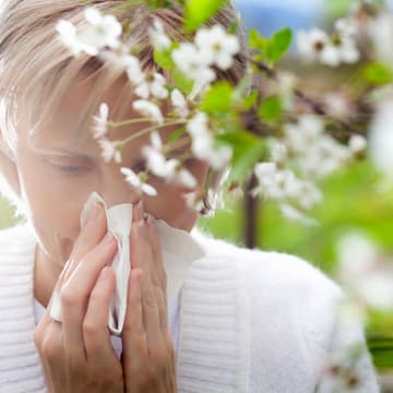 Das Vital-Allergie-ABC Das Vital-Allergie-ABC
