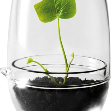 Grow-Mini-Gewaechshaus Lasst eure Pflanzen wachsen