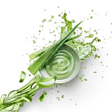 LR ALOE VIA_Aloe Splash Aloe Vera Pflanze