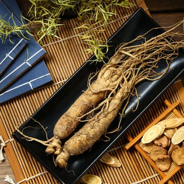 Ginseng Ginseng