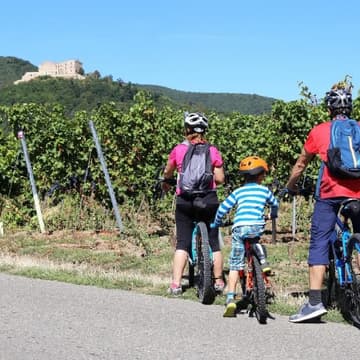 Familie-fährt-Fahrrad Familie fährt Fahrrad