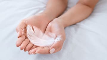 Feder in der Hand Feder in der Hand